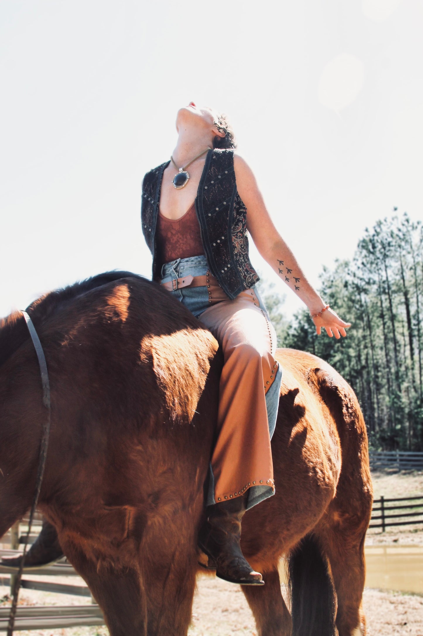 JEANUINE RIDERS studded + faux chap denim, size 8 >> chestnut brown + medium wash