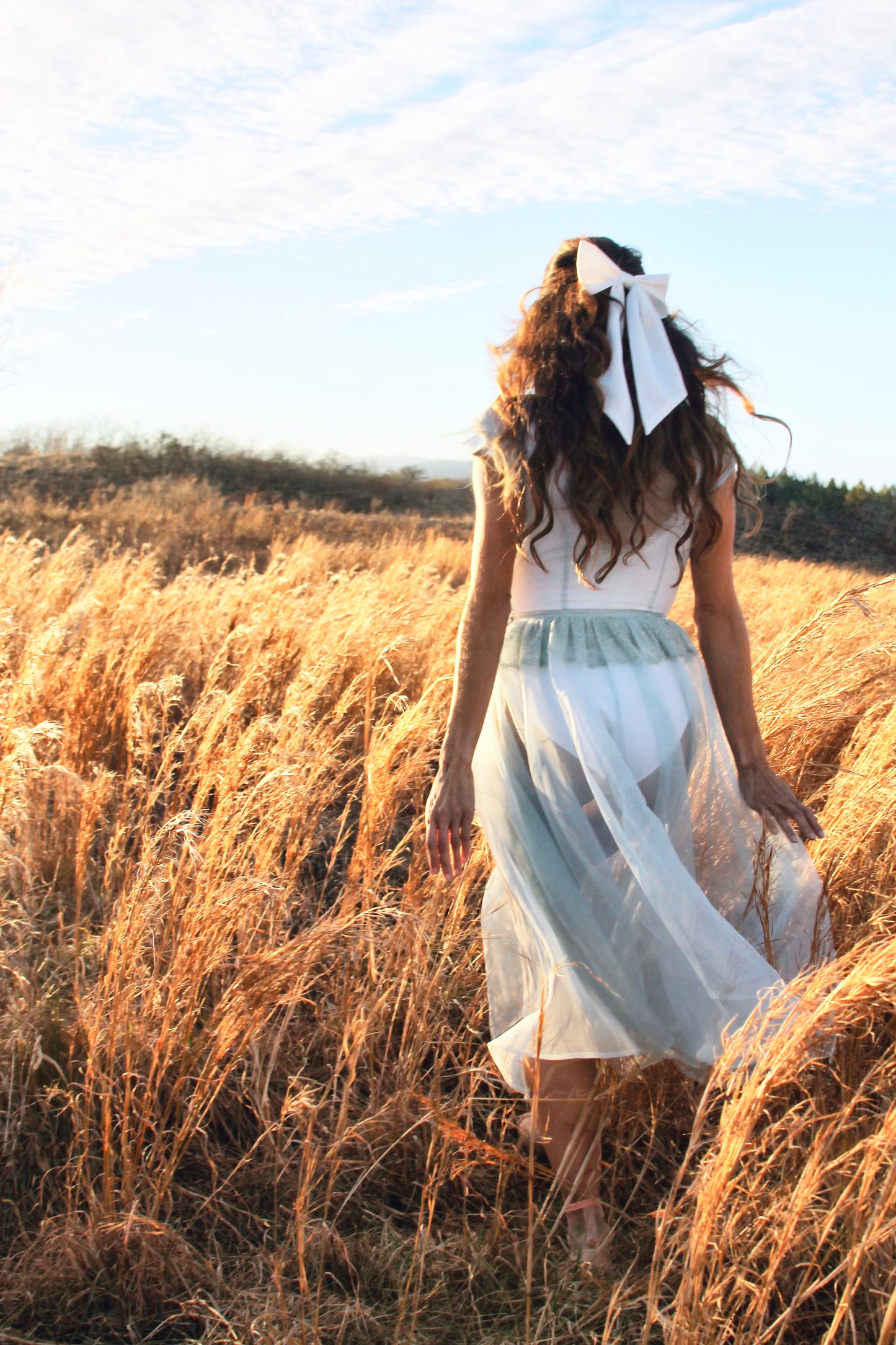 MEMORIES OF THE SUN completely sheer midi dress *FOXY FAVE* in antique blue