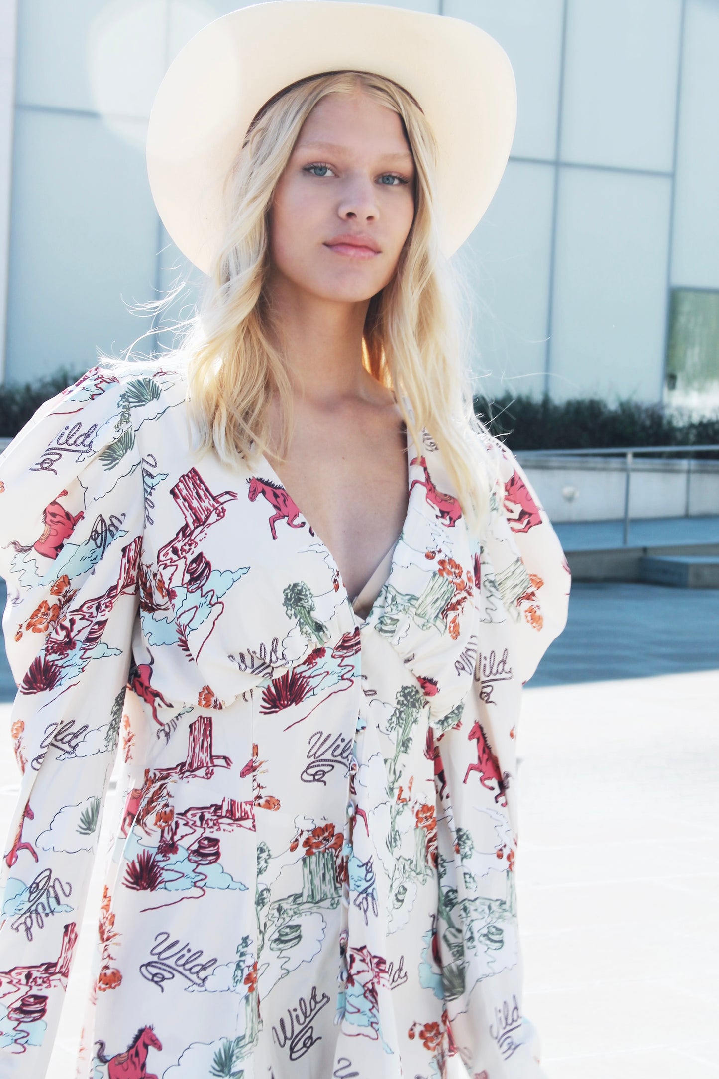 WILD AND FREE unique desert scene + puff sleeve dress, size 14 *ASOS + MADE IN ROMANIA*