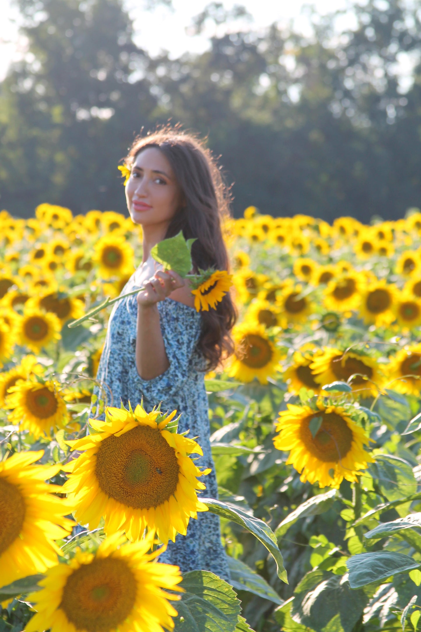 The Daydream mini dress
