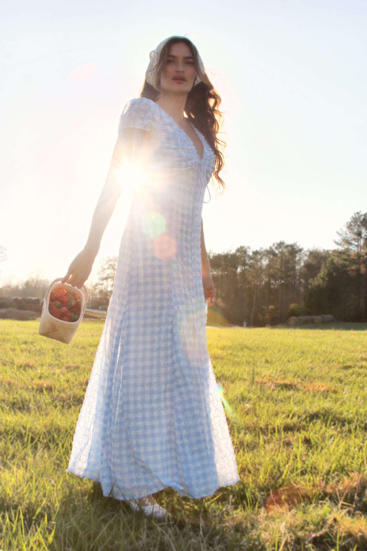 DAISY DO gingham maxi, size 6 *ASOS* daisies over baby blue + white gingham
