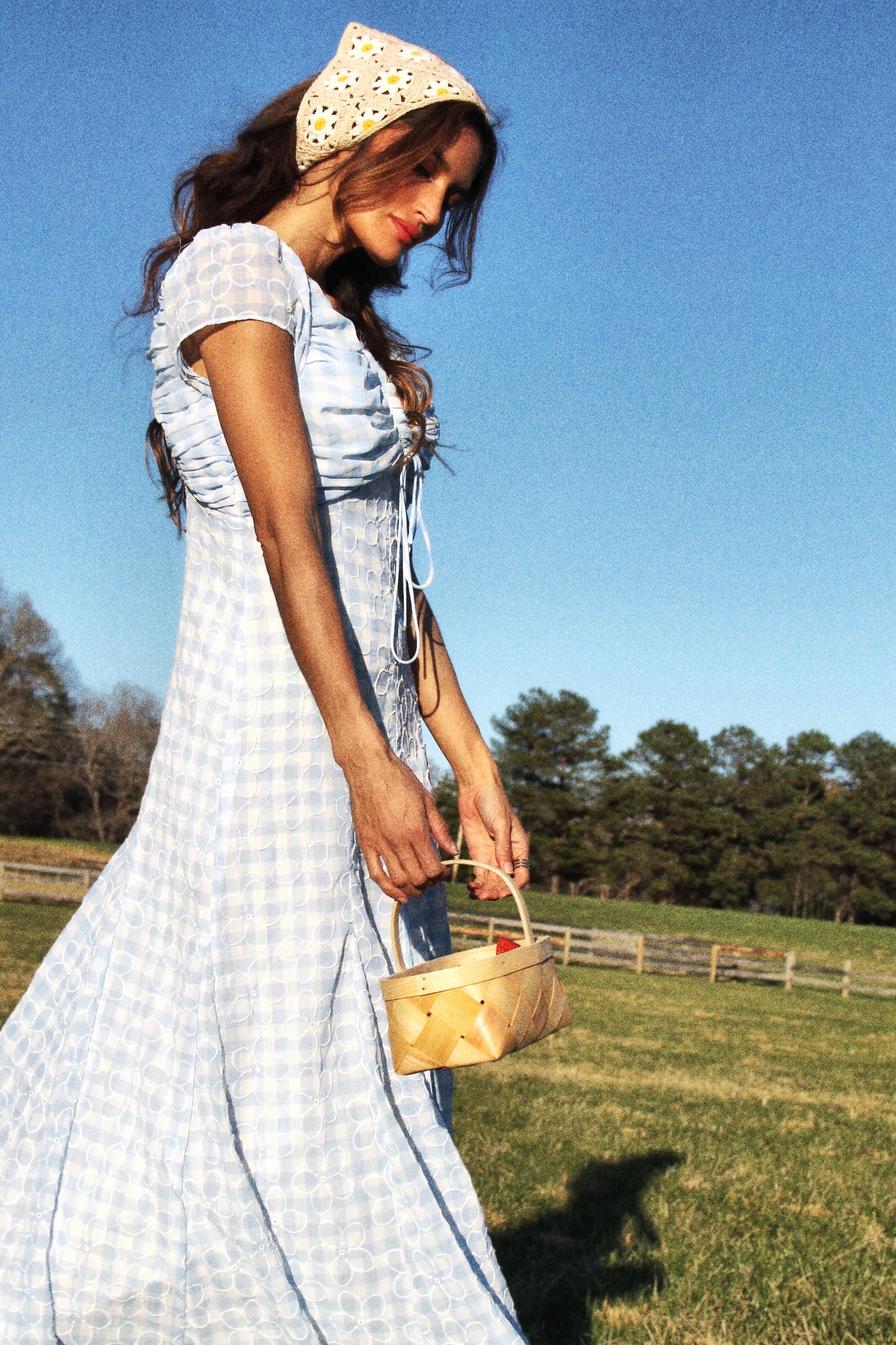DAISY DO gingham maxi, size 6 *ASOS* daisies over baby blue + white gingham