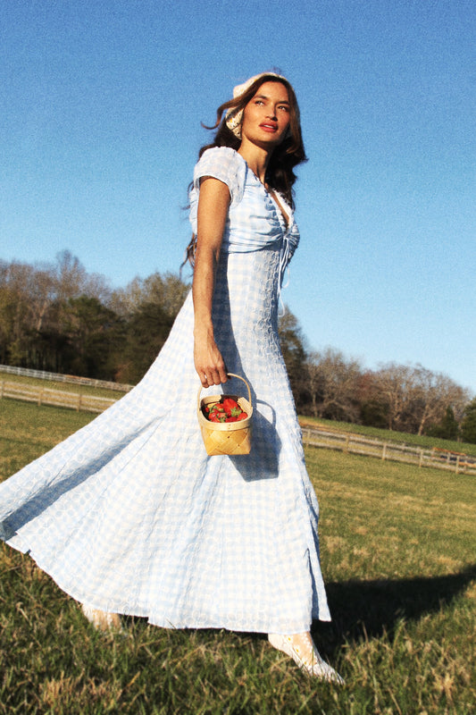 DAISY DO gingham maxi, size 6 *ASOS* daisies over baby blue + white gingham