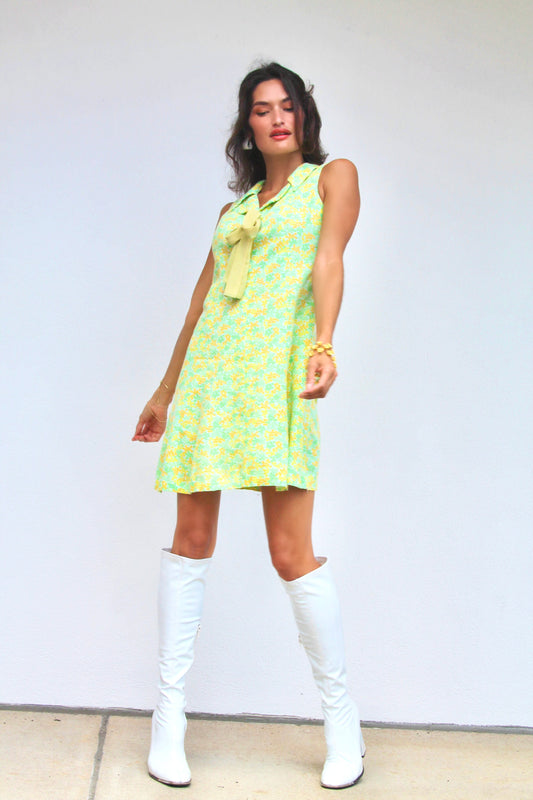 Vintage Breath of Fresh Air mini dress